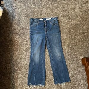 Anthropology Classic Blue Flare Jeans